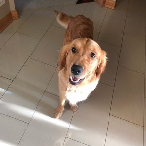 Meet your Posher, Asha